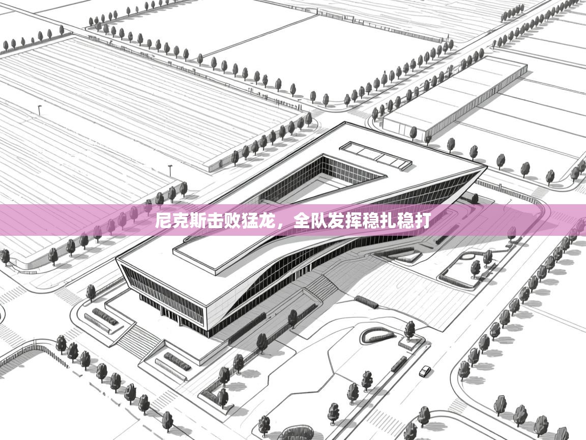 尼克斯击败猛龙,全队发挥稳扎稳打 第2张